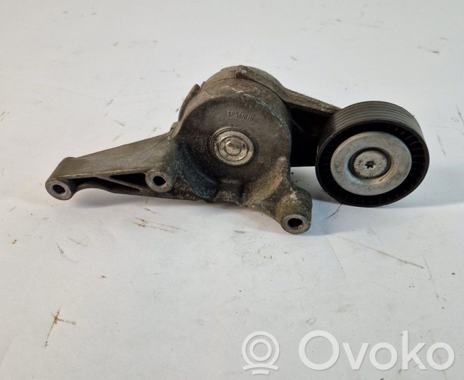 Seat Alhambra (Mk1) Întinzător curea alternator 