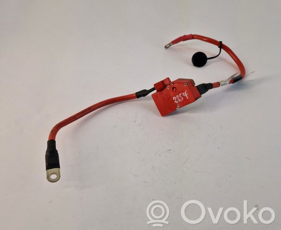 BMW 3 F30 F35 F31 Plus / Klema / Przewód akumulatora 