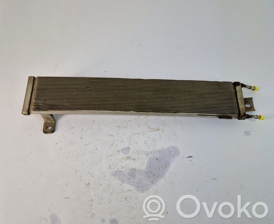 Seat Alhambra (Mk1) Radiatore del carburatore (radiatore) 