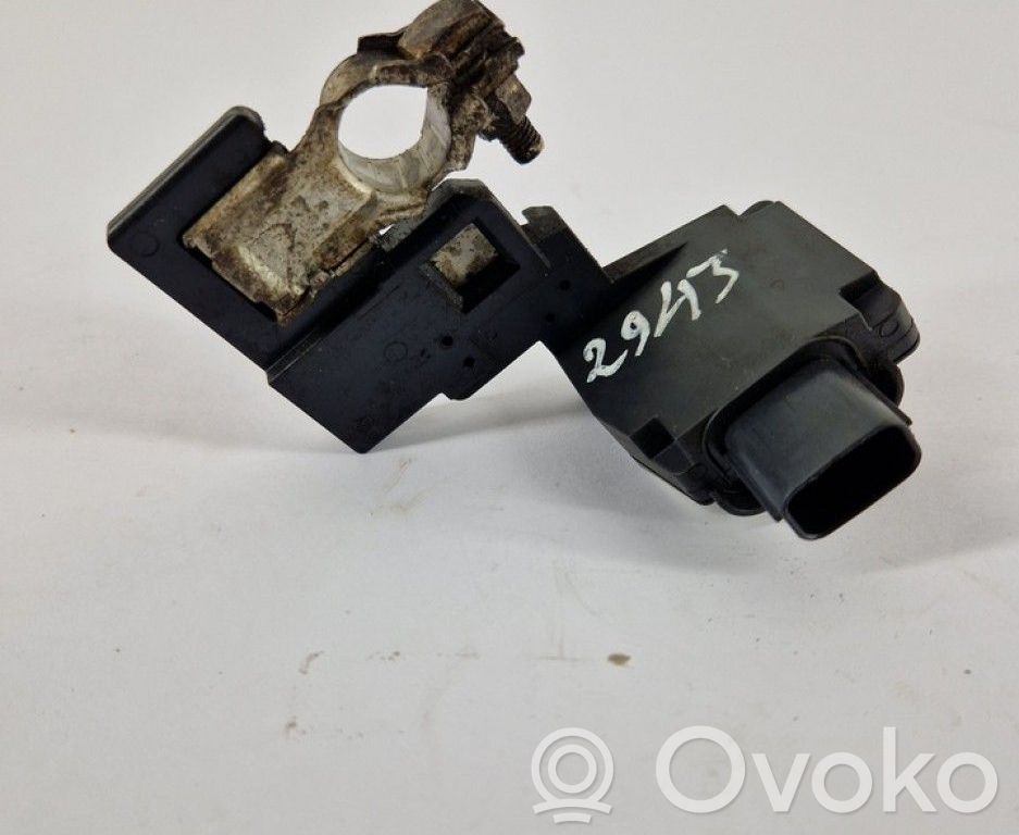 Toyota RAV 4 (XA40) Pluskabel Batterie 