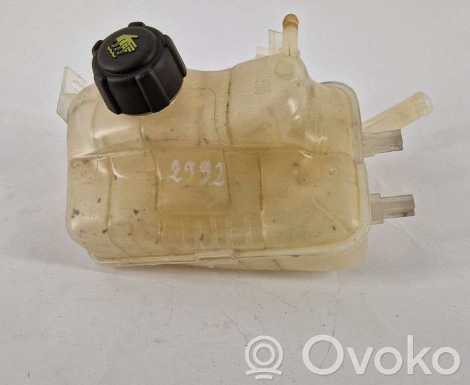 Renault Megane III Vas expansiune/rezervor lichid de răcire