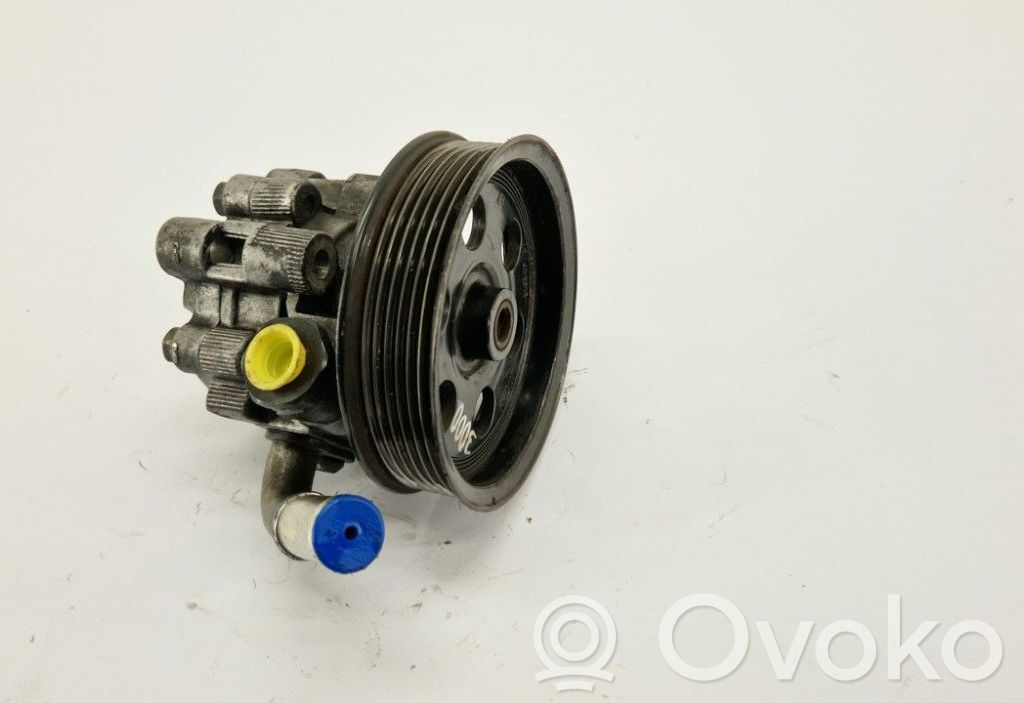 Chrysler 300 - 300C Power steering pump