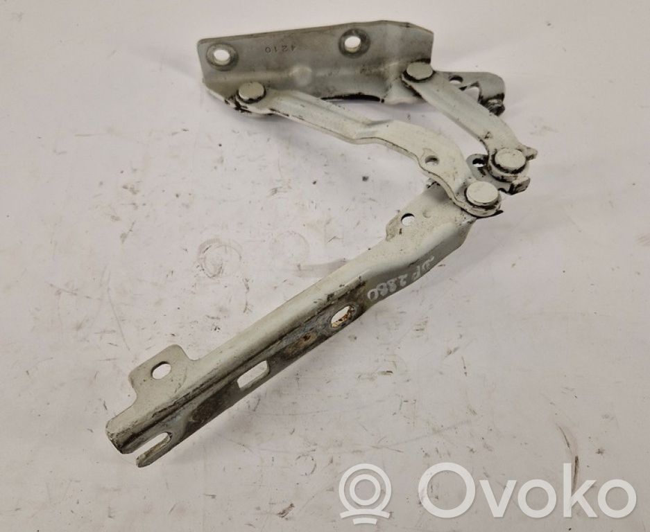 Volkswagen Golf VI Engine bonnet/hood hinges
