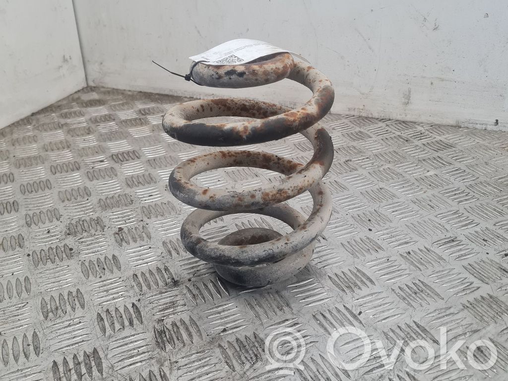 Muelle espiral trasero