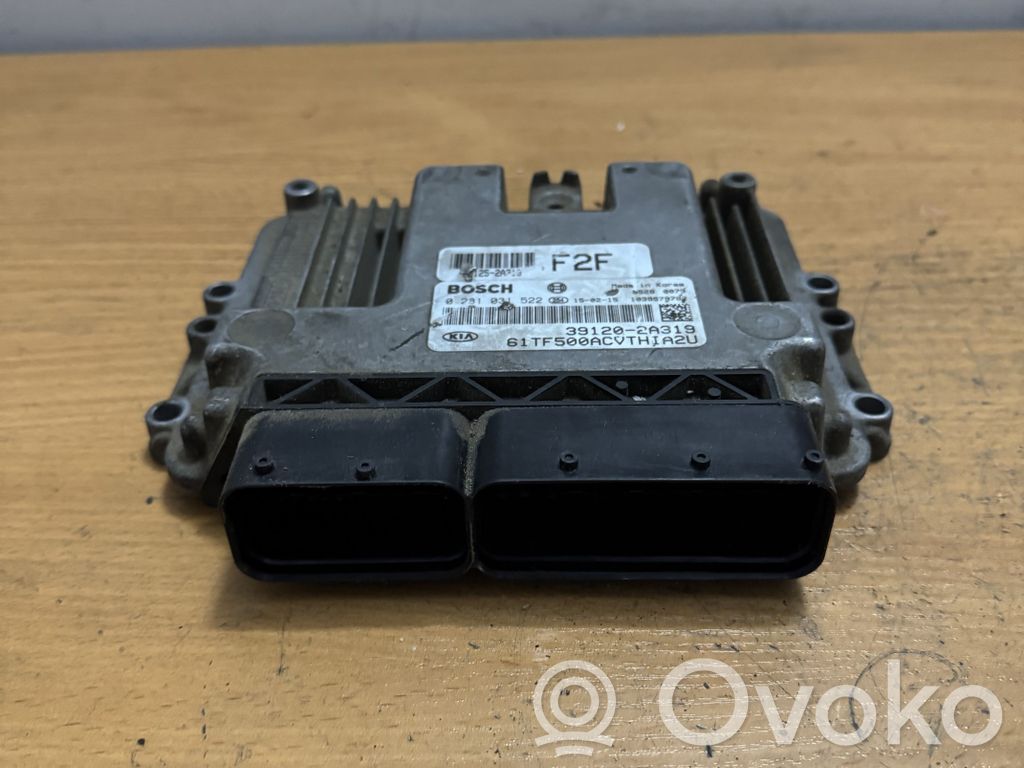 Engine control unit/module   0281031522,391202A319