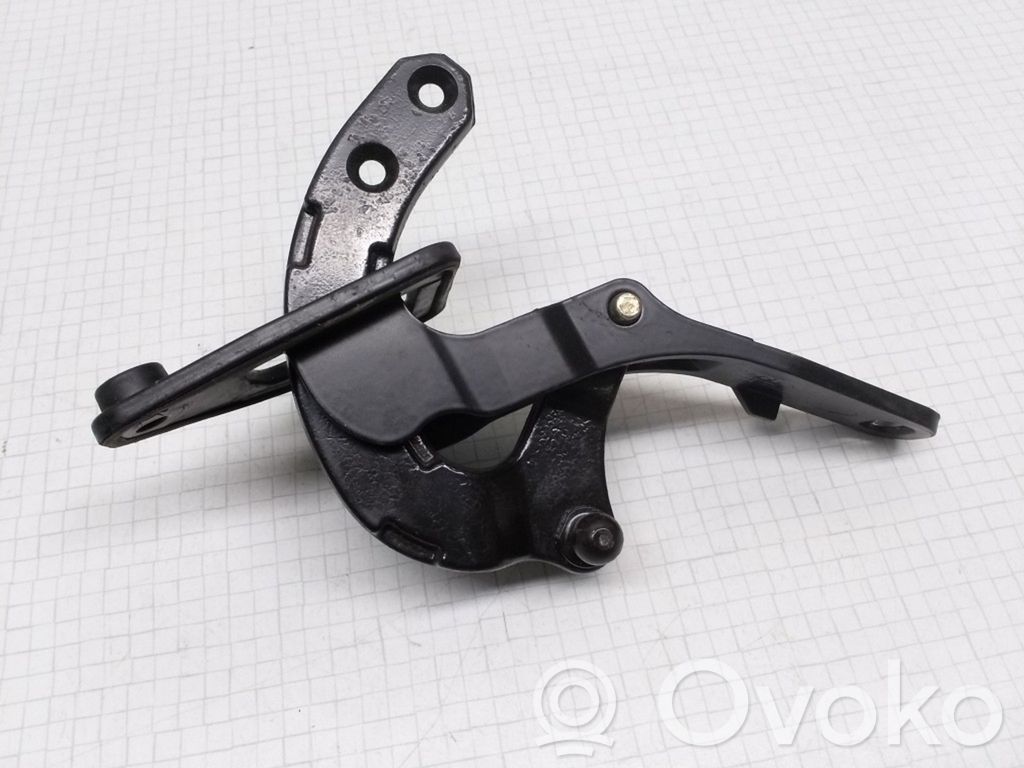 Tailgate/trunk/boot hinge   8643158