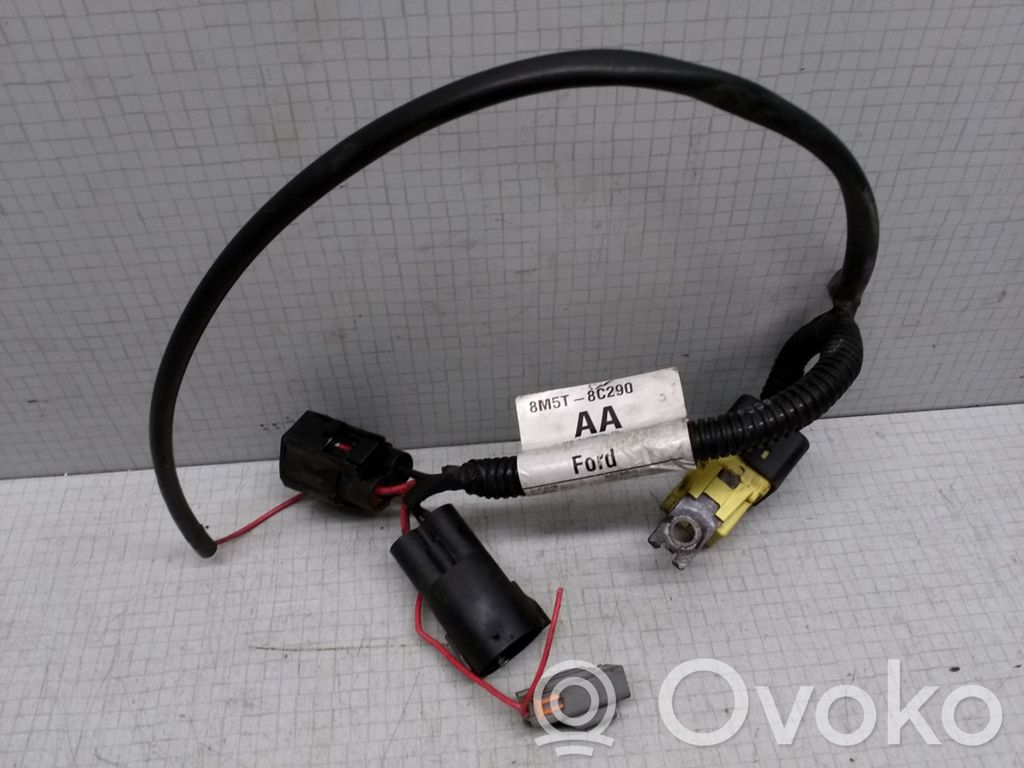 Otros cableados   8M5T8C290,EE00E12169281000