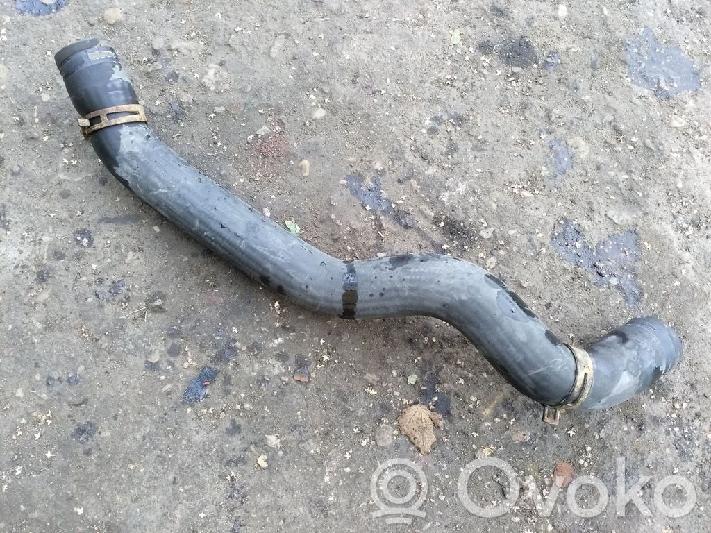Ford Transit Caurulīte (-es) / šļūtene (-es) 