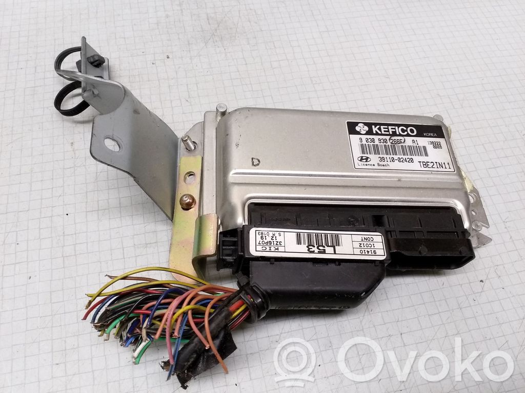 Hyundai Getz Engine control unit/module 