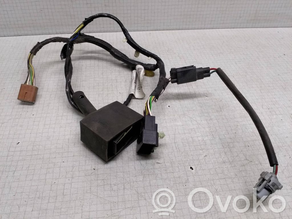 Ford Transit Cableado de puerta delantera 