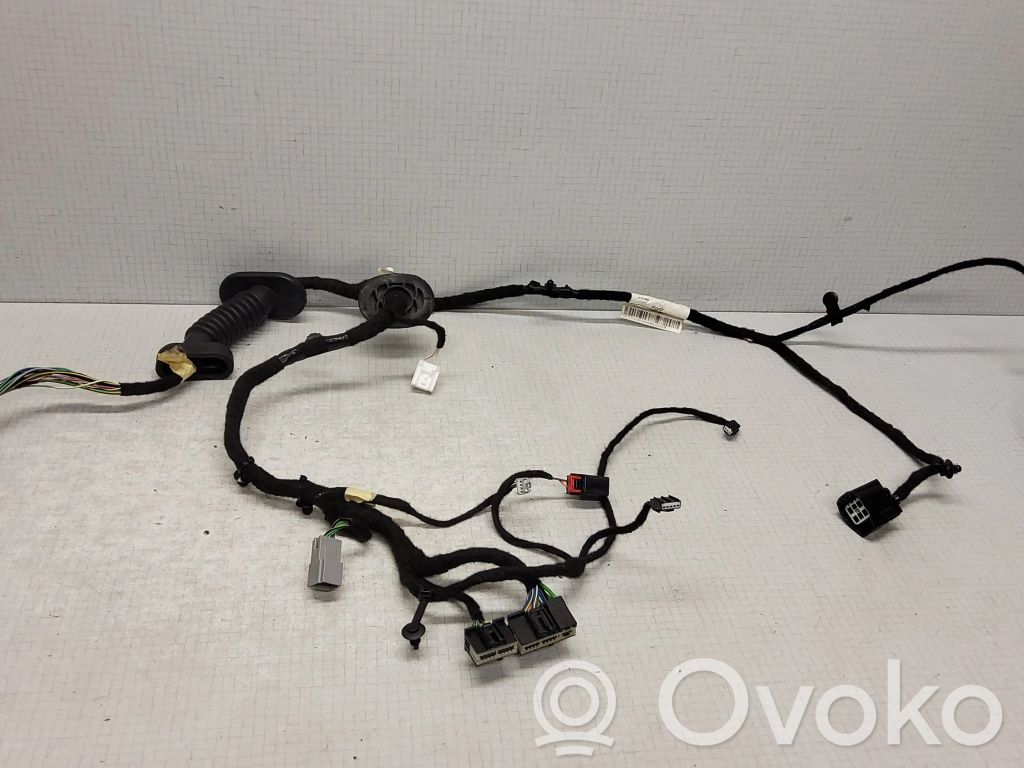 Cableado de puerta delantera   E14058941,LN1514631,21120601
