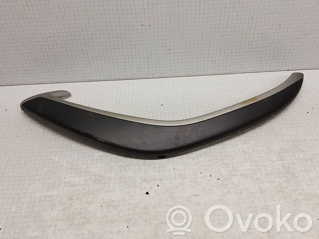 Citroen C5 Poszycie drzwi tylnych 