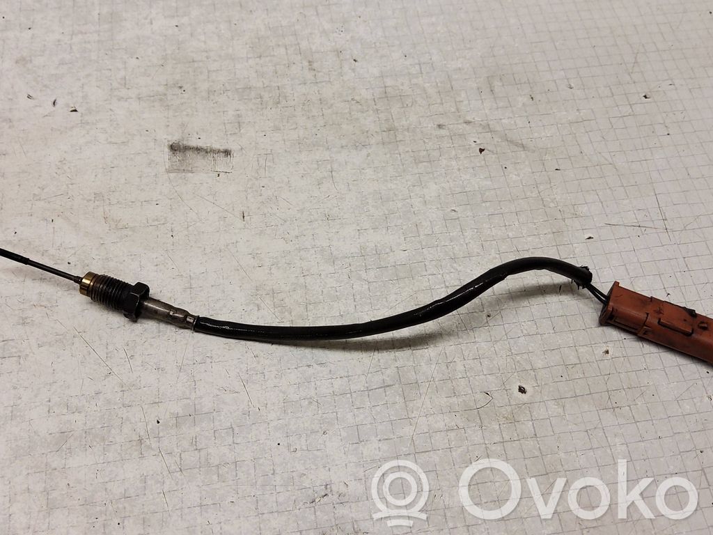 Citroen C5 Izplūdes gāzu temperatūras sensors 