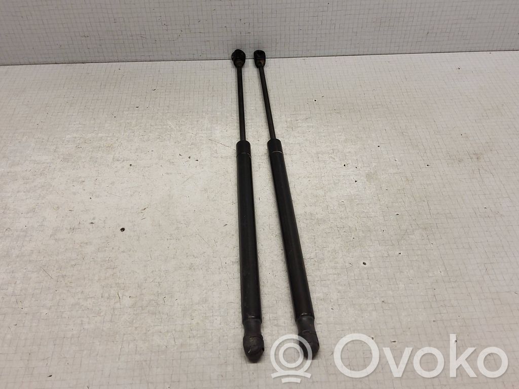 Tailgate/trunk strut/damper   44831A,05160017AB