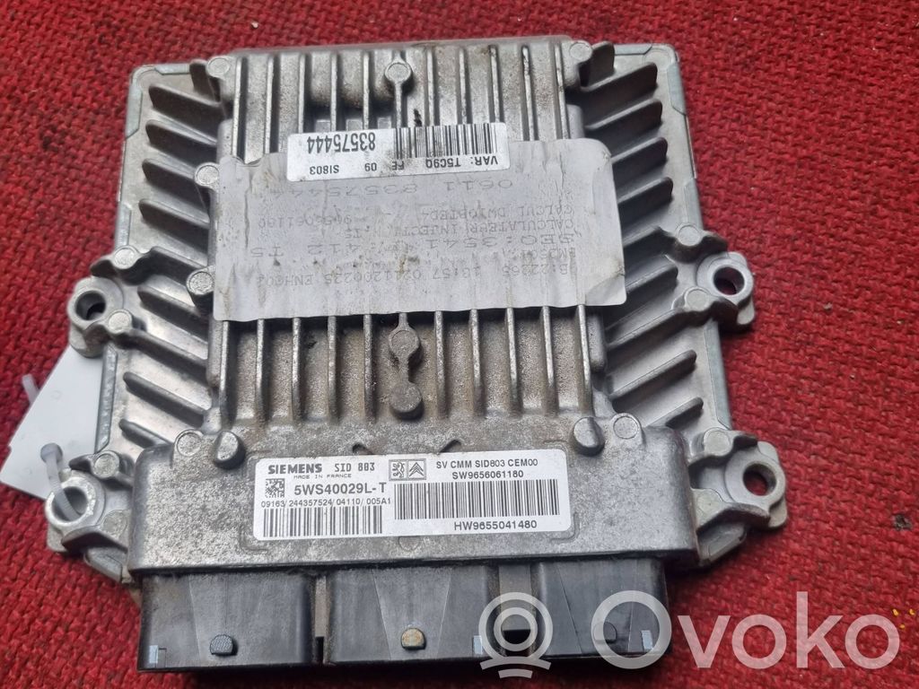 Peugeot 407 Engine control unit/module 