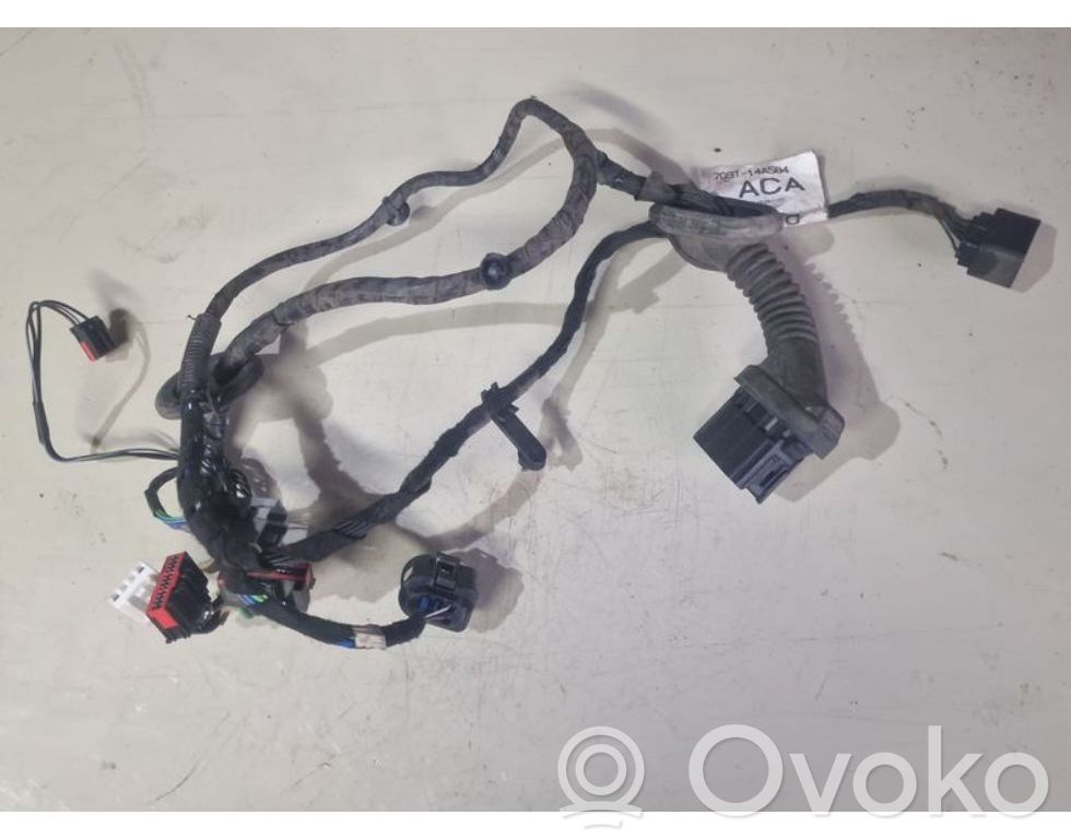 Cableado de puerta delantera   7G9T14A584