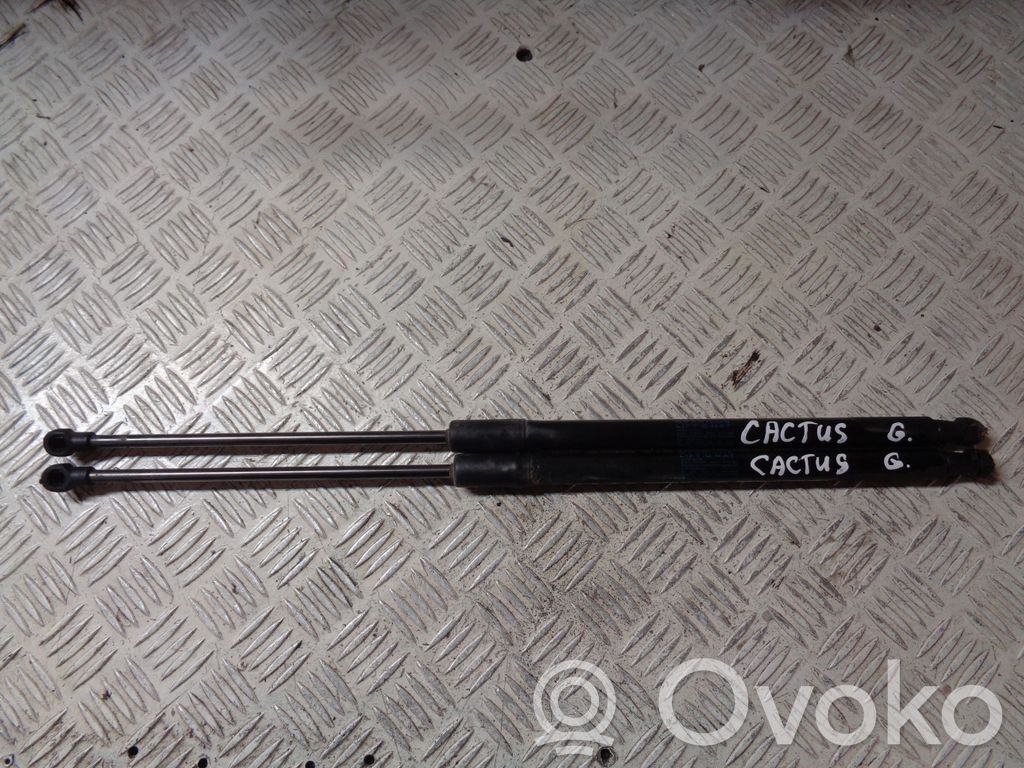 Citroen C4 Cactus Tailgate/trunk strut/damper 