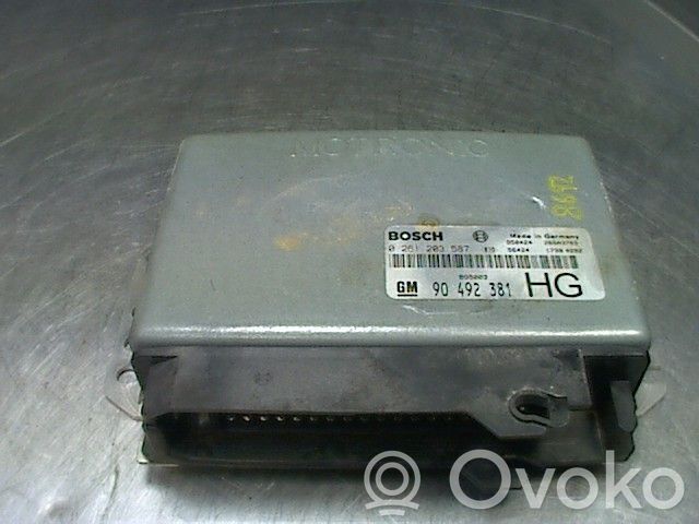 Opel Omega B1 Injection control unit/module 