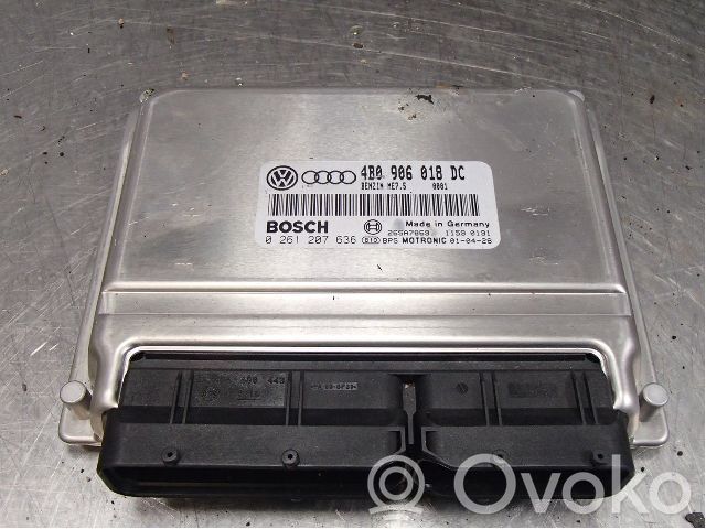 Volkswagen PASSAT B5.5 Unitate/modul comandă injecție 