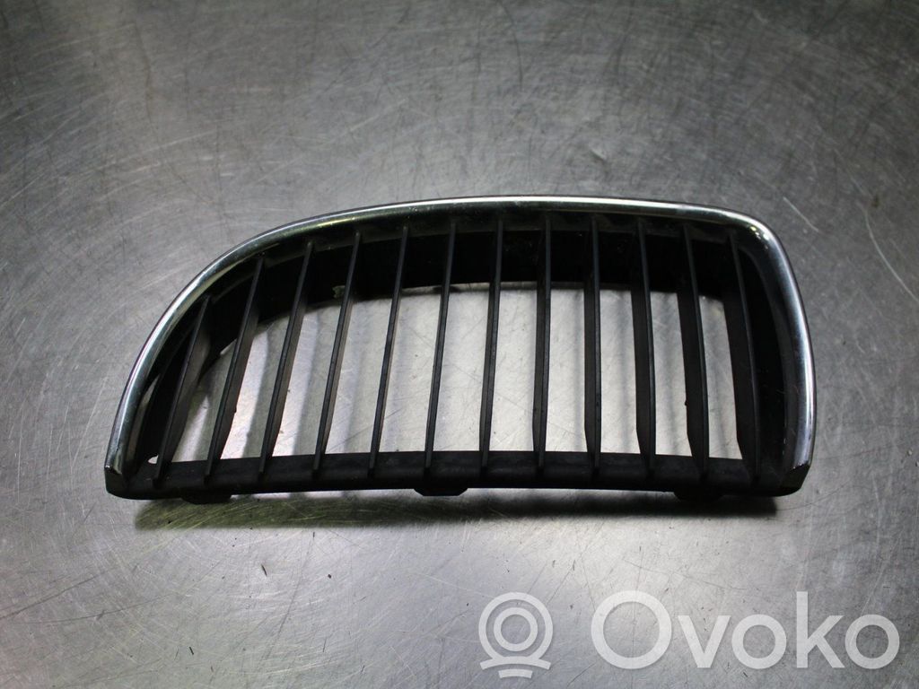 Front bumper lower grill   7120007