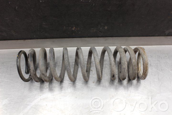 Rear coil spring   1381919