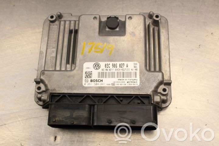 Volkswagen Tiguan Injection control unit/module 
