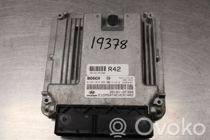 Hyundai Santa Fe Injection control unit/module 
