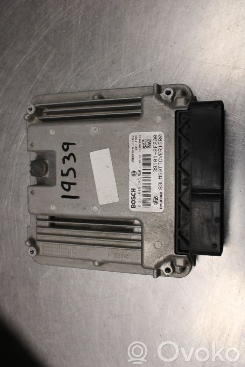 Injection control unit/module   391012F200,02081016545