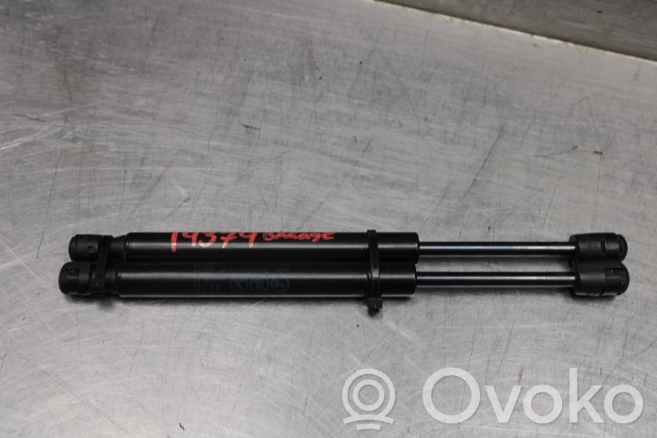Chevrolet Camaro Tailgate strut 
