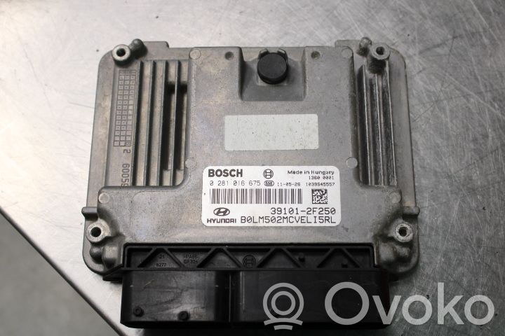 Injection control unit/module   0281016675,391012F250