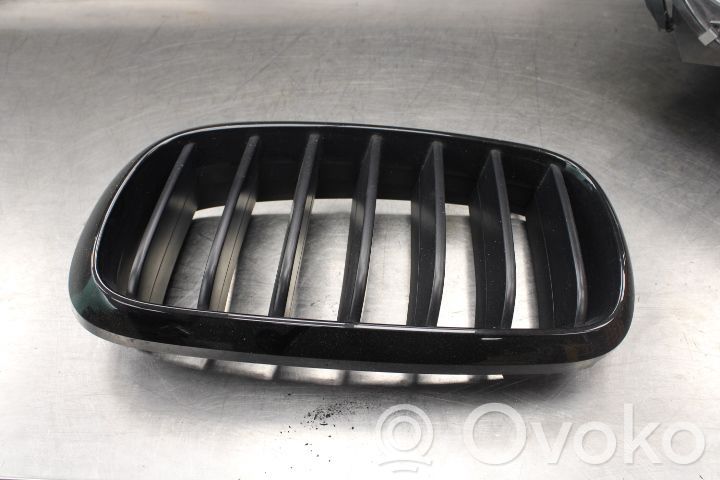 BMW X5 F15 Mascherina inferiore del paraurti anteriore 