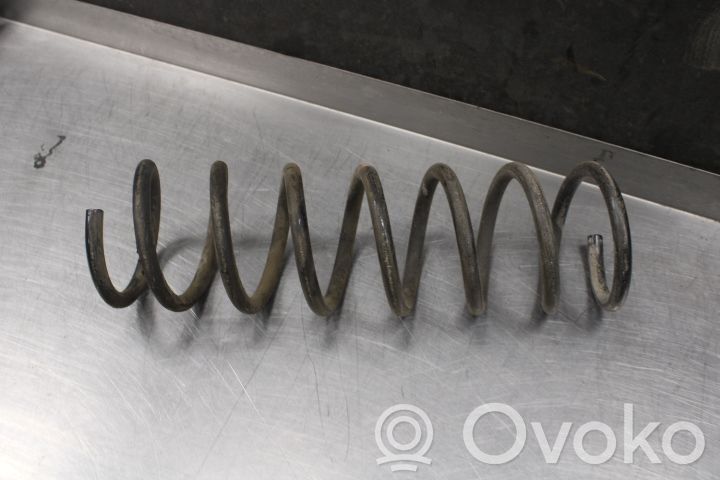 Rear coil spring