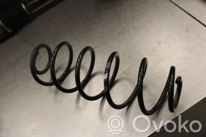 Rear coil spring