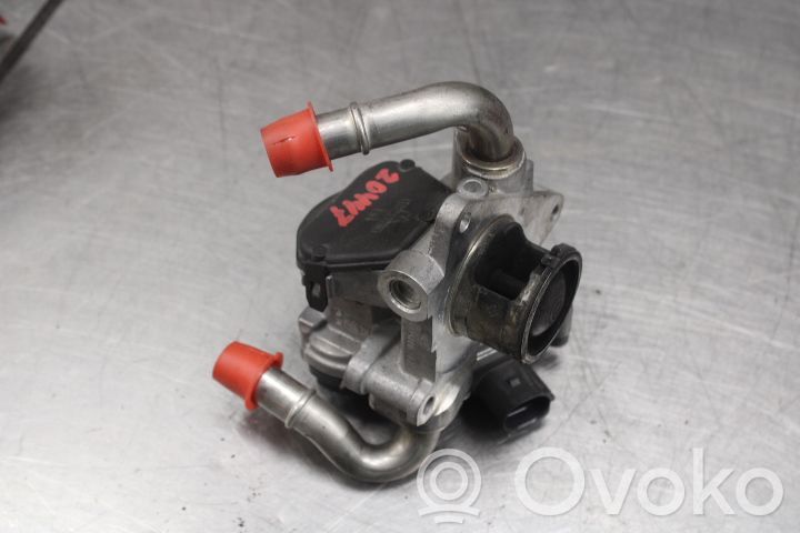 Volkswagen PASSAT B8 Valvola EGR