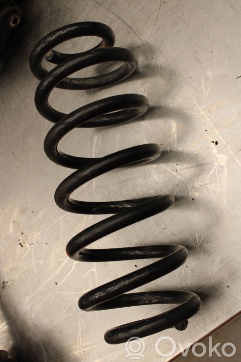 Muelle espiral trasero