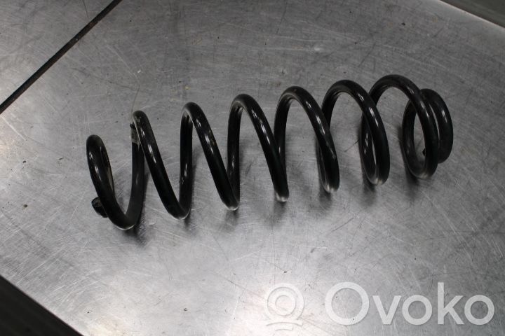Muelle espiral trasero