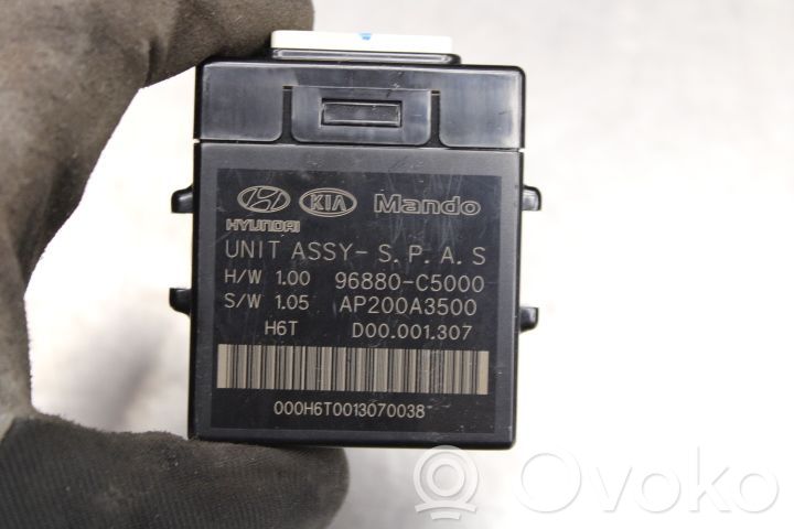 Other control units/modules   96880C5000