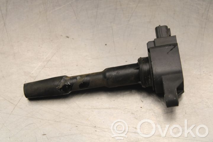 Bobina de encendido de alto voltaje   224332428R