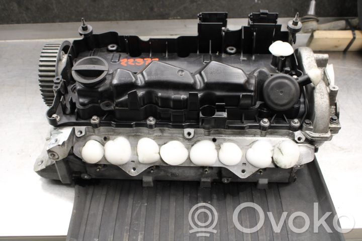 Galvutė   P31480506