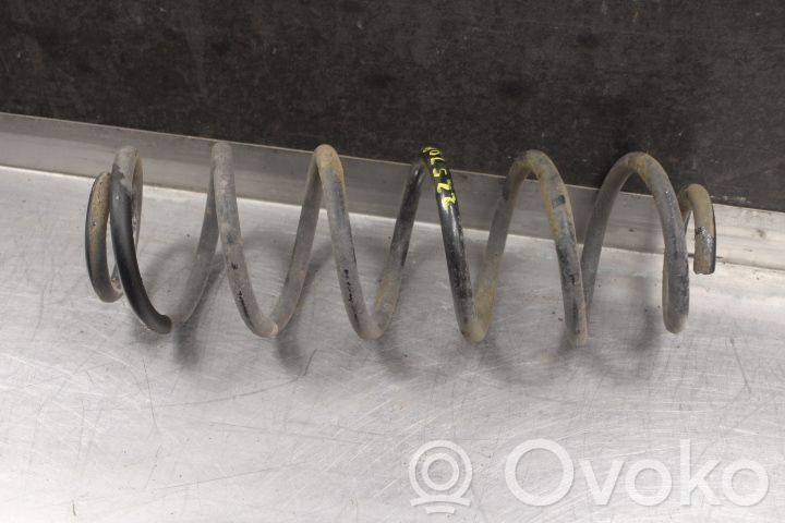 Muelle espiral trasero