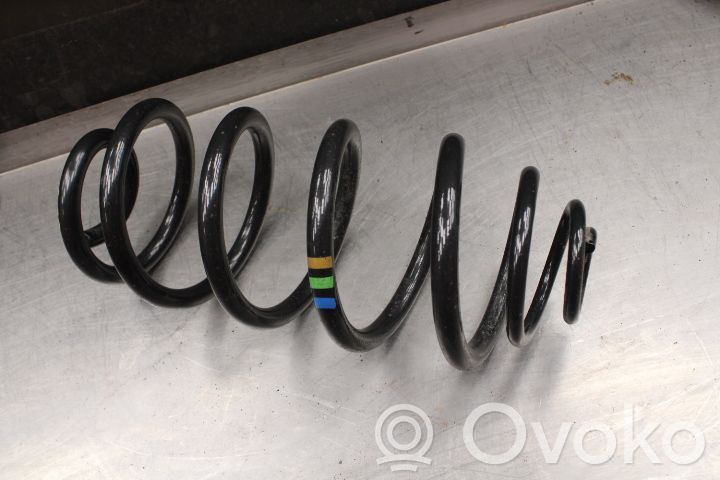 Rear coil spring