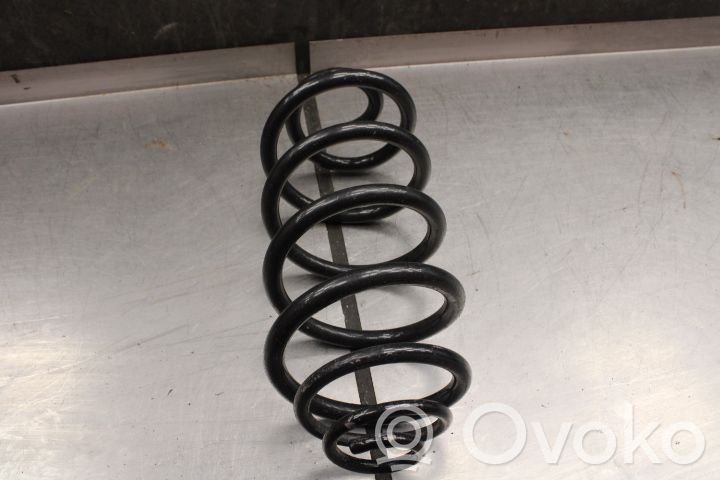 Rear coil spring