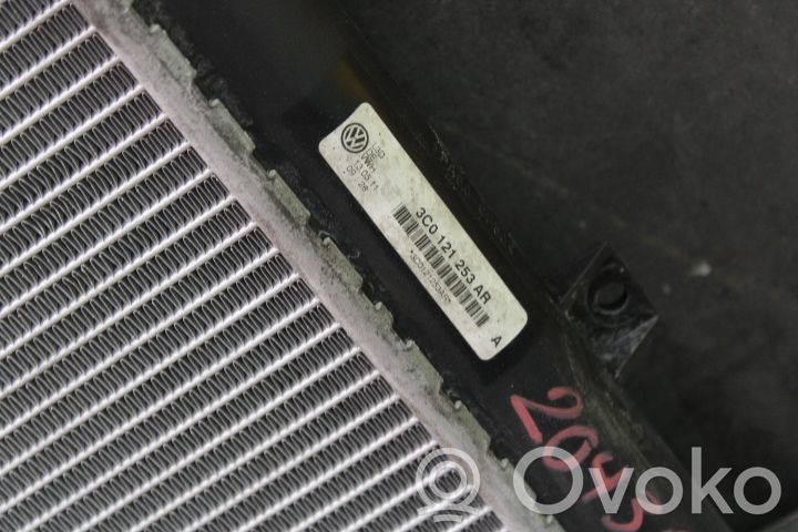 Volkswagen PASSAT B7 Radiator lichid răcire