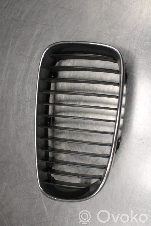BMW 1 E81 E87 Mascherina inferiore del paraurti anteriore