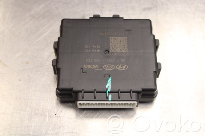 Other control units/modules   95655D4000,95655D4000