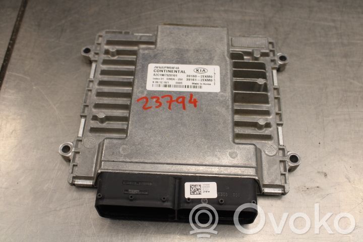 KIA Optima Injection control unit/module 