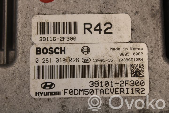 Injection control unit/module   391012F300