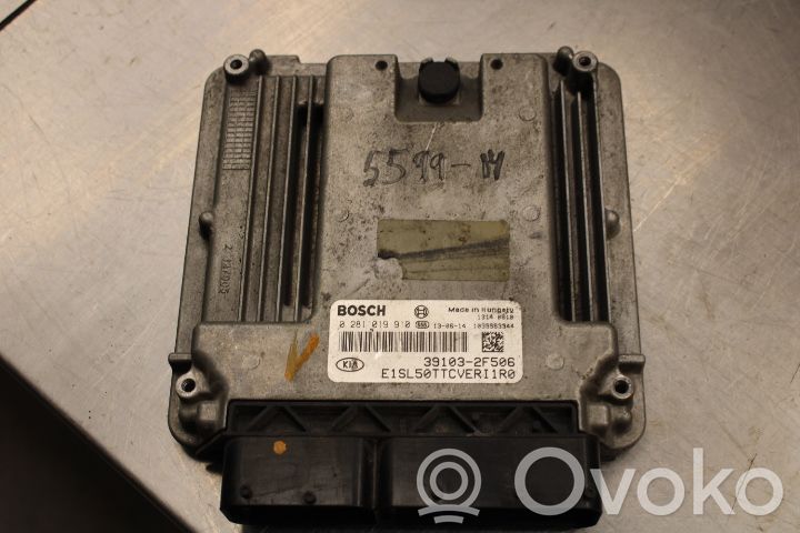Unité de commande / module d'injection   391032F506