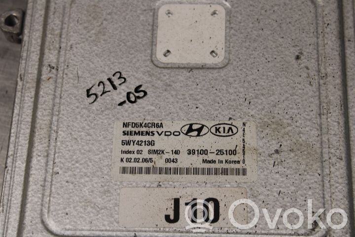 Hyundai Sonata Injection control unit/module 
