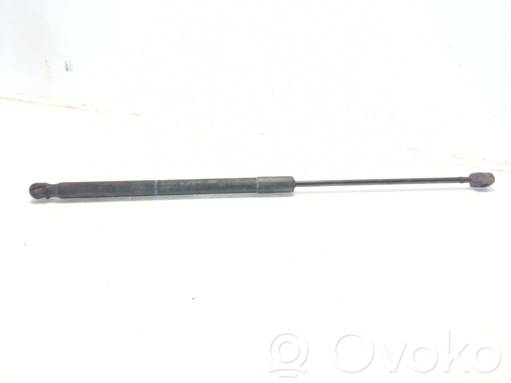 Tailgate/trunk strut/damper   8X4827552